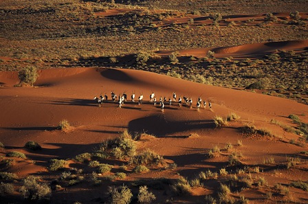 Deserto del Kalahari