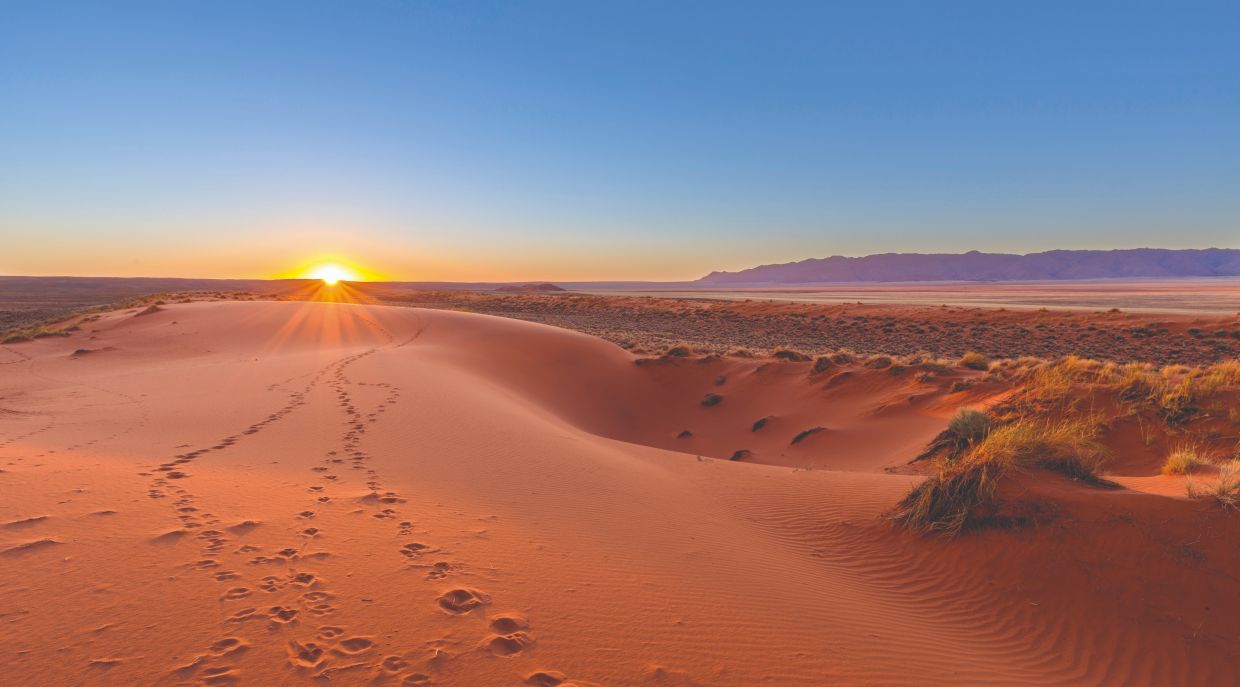 Quality Group -Destinazione Namibia (dal Kalahari all'Etosha)