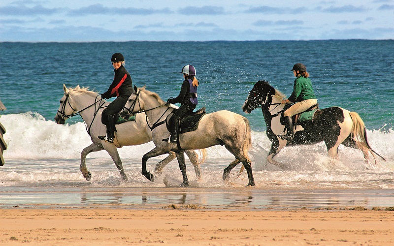 affittare biciclette a dublino