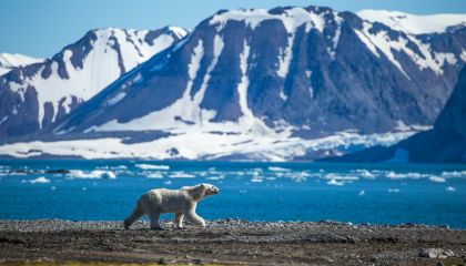 Big 2 - Viaggio in Capo al Mondo: Tromso | Isole Svalbard | Oslo