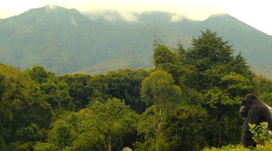 Viaggi Straordinari con Davide Bomben: RWANDA come in un documentario!
