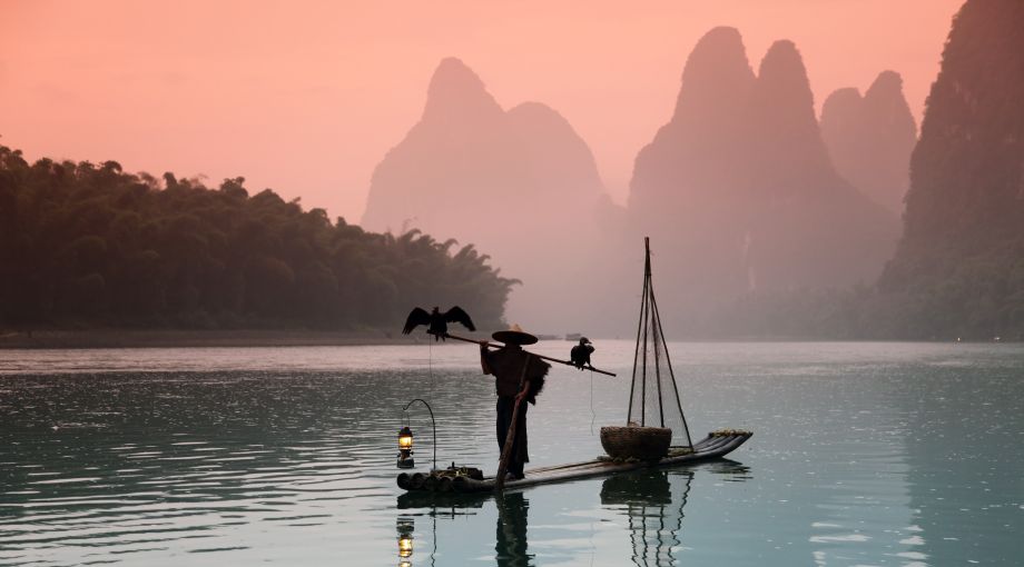 Panda e Avatar: creature fantastiche