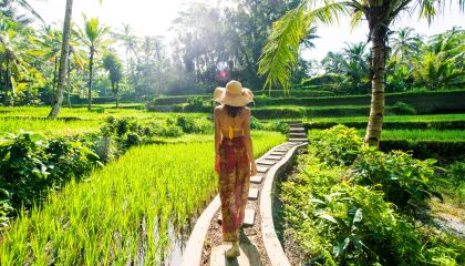 Easy Bali