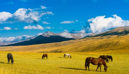 Kazakistan e il deserto del Mangystau