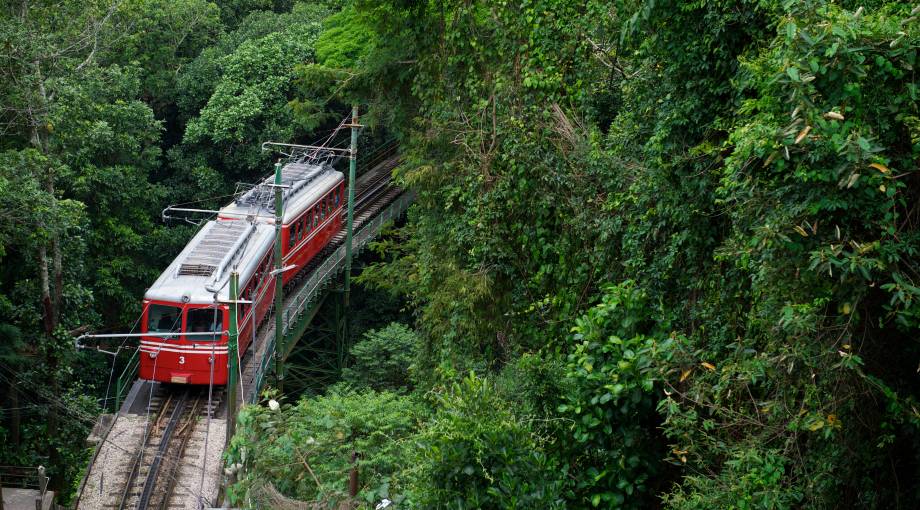 Speciale Brasile - Mosaico Smart 10 Agosto